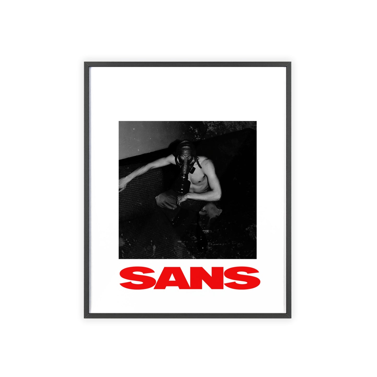 SANS I