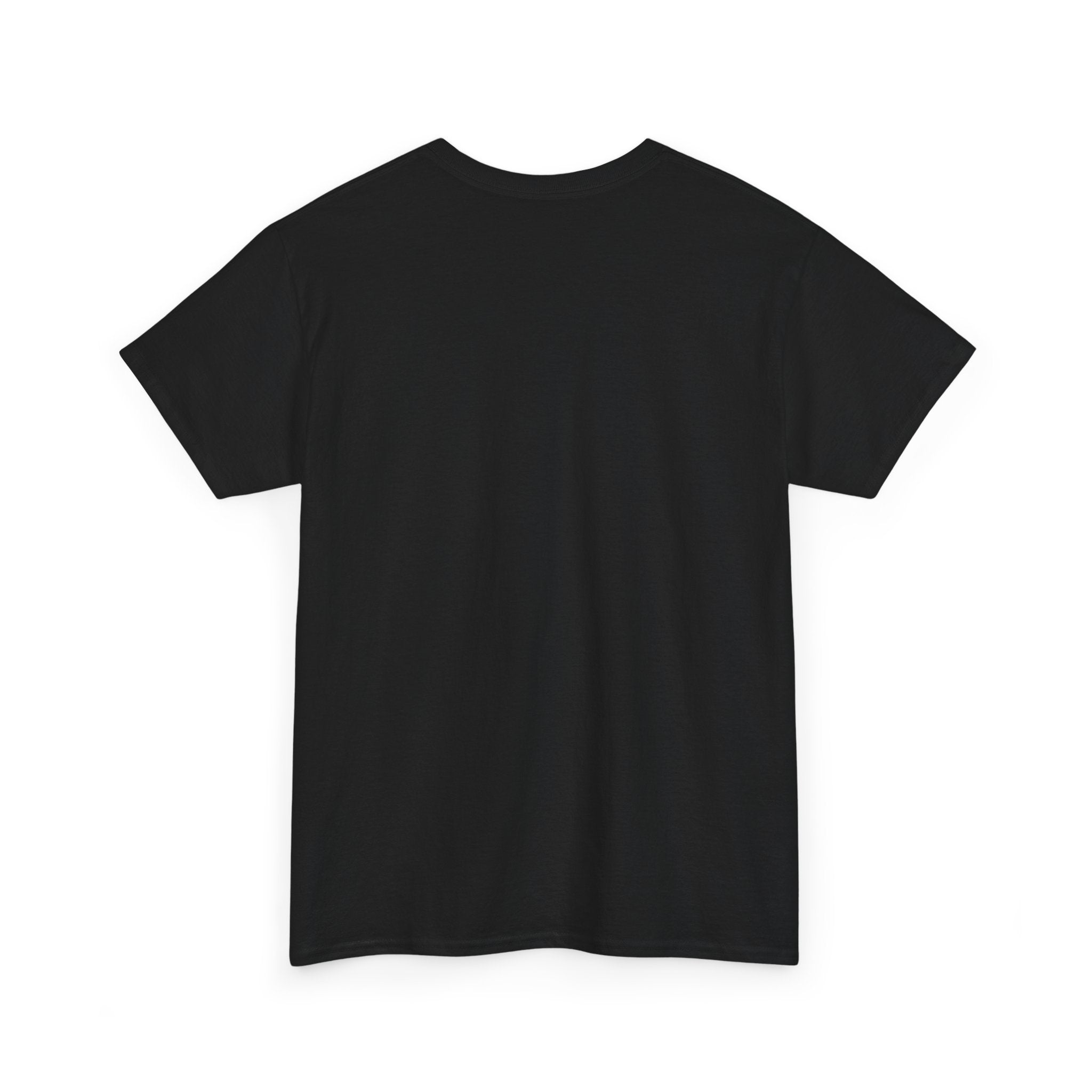 SANS Unisex Heavy Cotton Tee